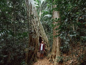 Eungella image