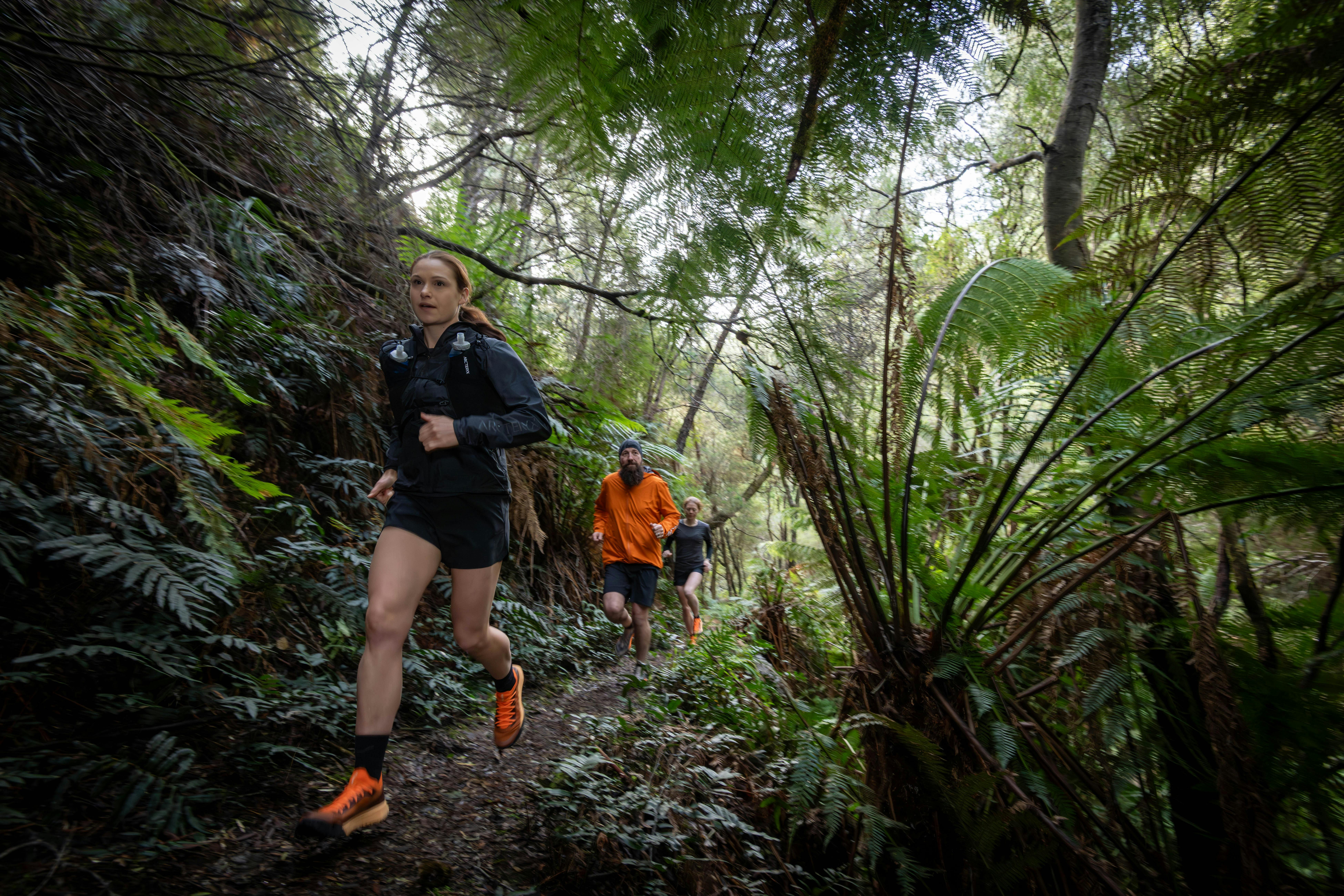 A female and male runner pass large ferns in a rainforest on a single trail