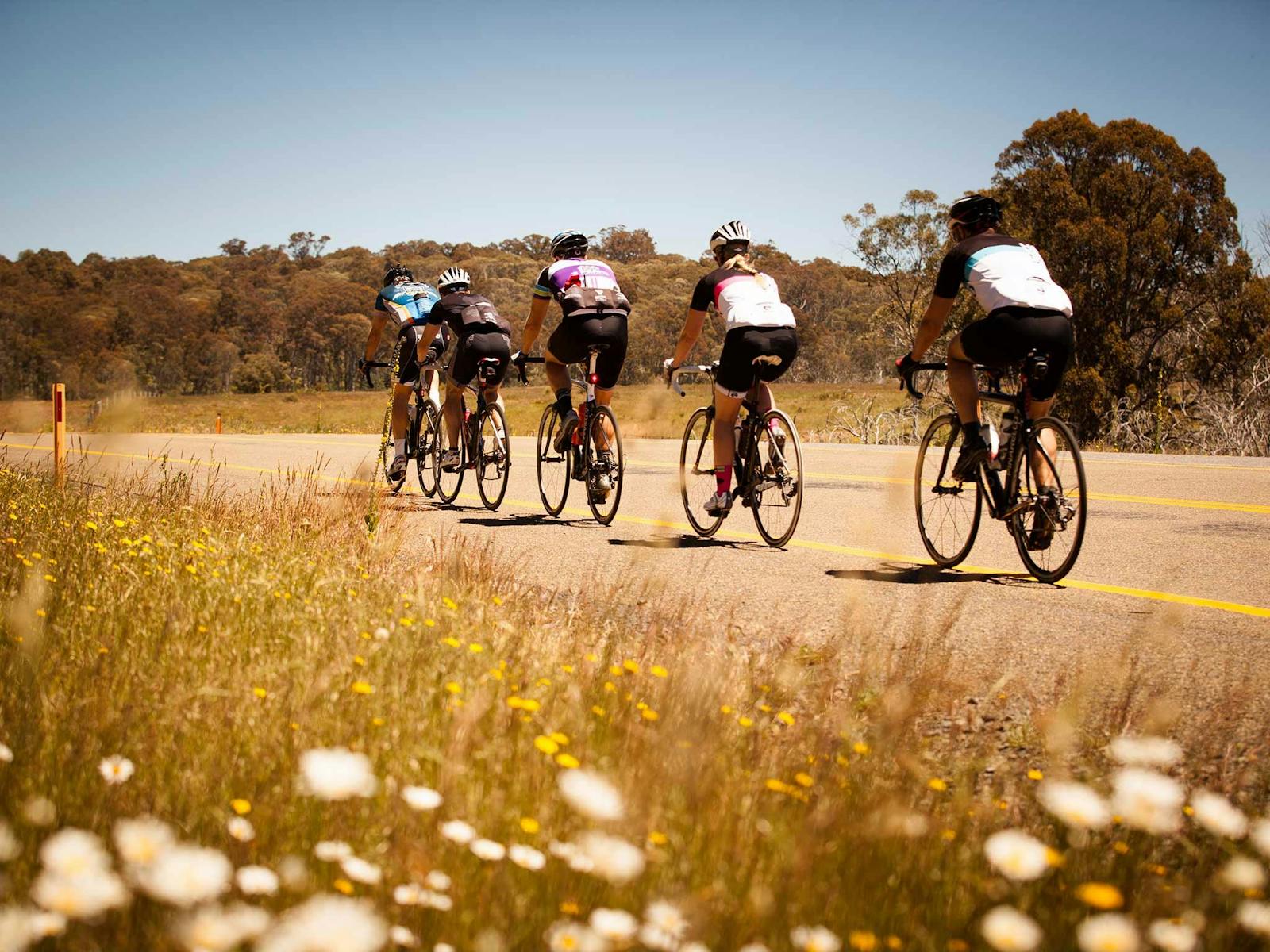 7 Peaks Ride