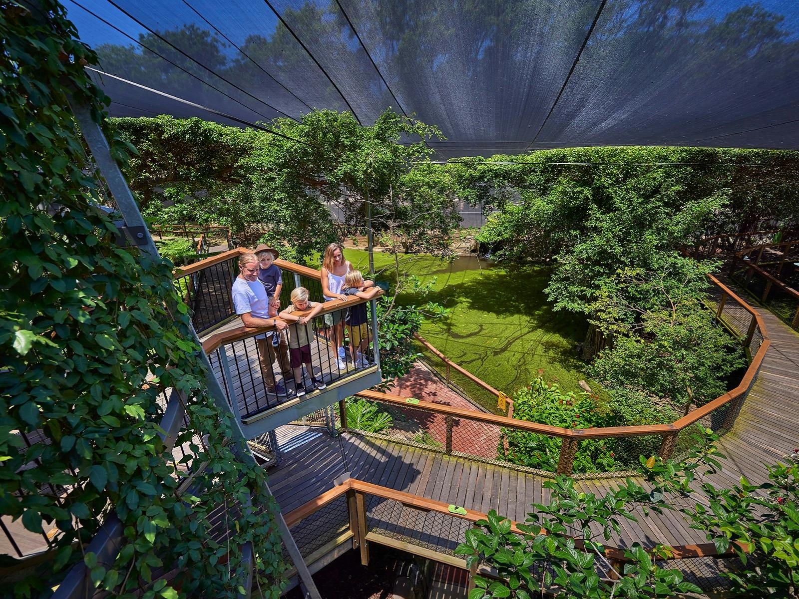 Young family with 3 children on top of Licuala Tower, looking down at the view of Rainforest Habitat
