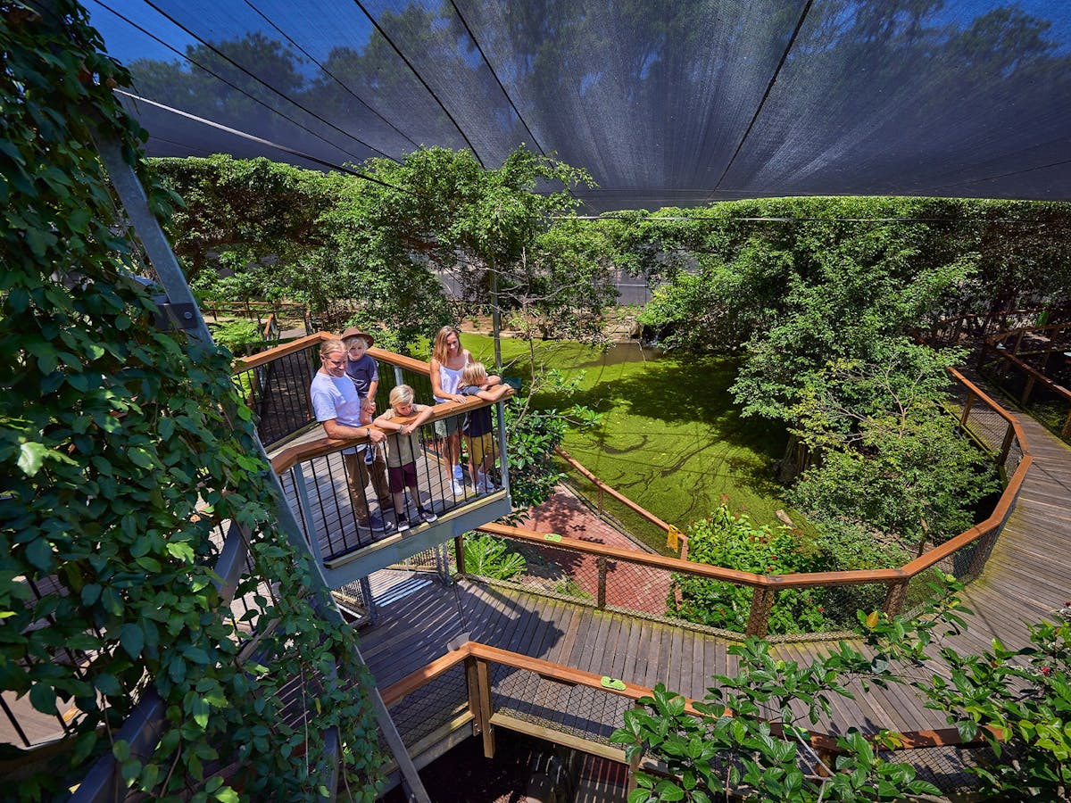 Young family on top of Licuala Tower at Rainforest Habitat, Wildlife Habitat Port Douglas