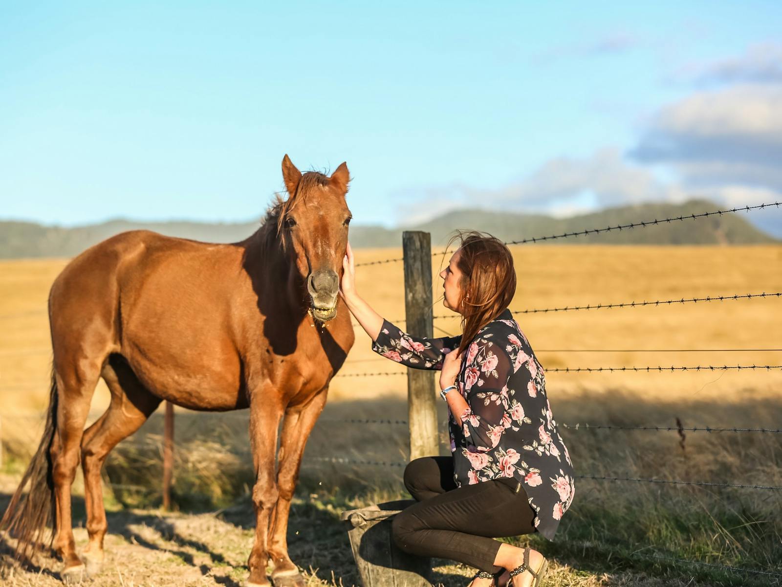 Female guest pets the horse at Altitude221