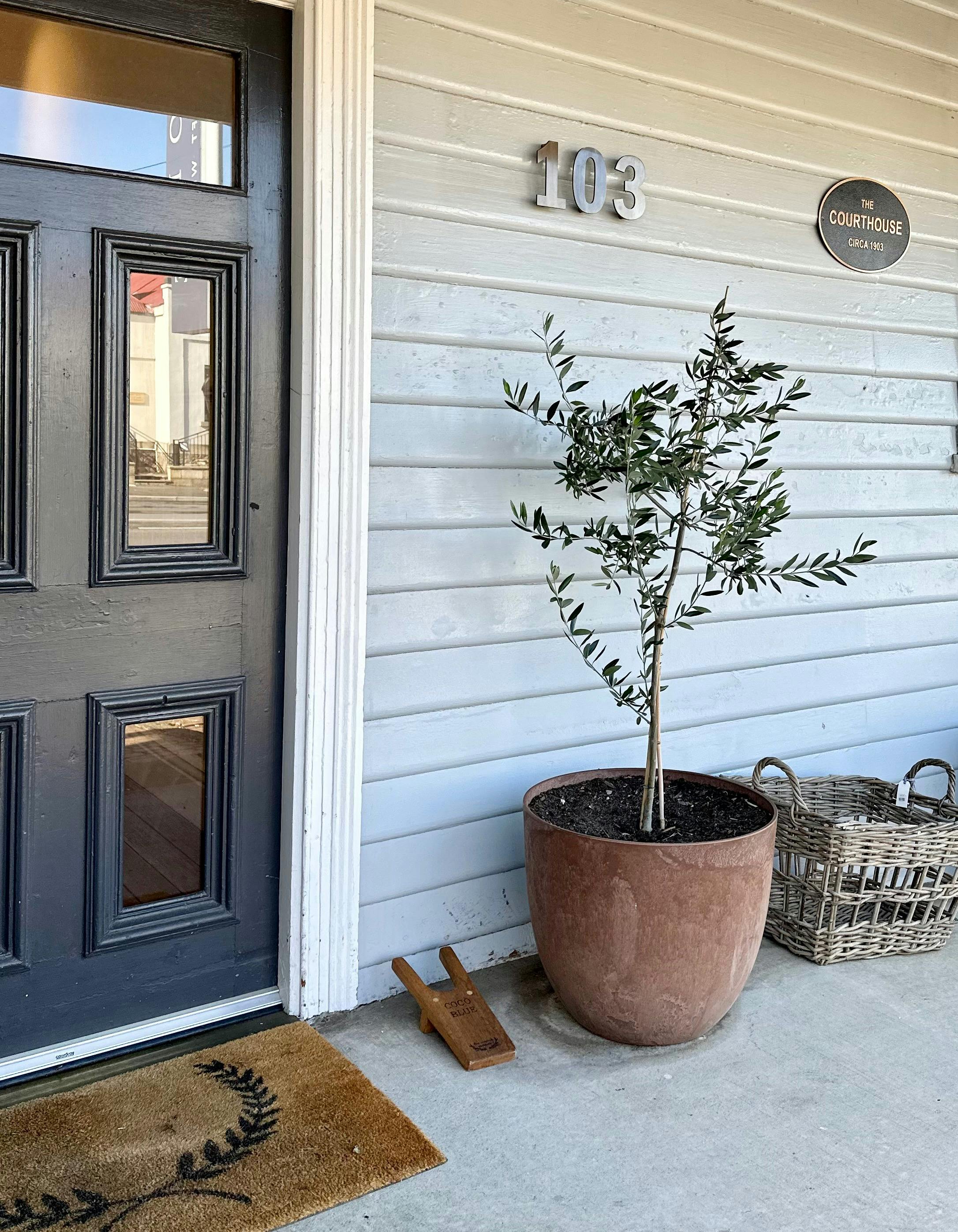 The courthouse Circa 1903