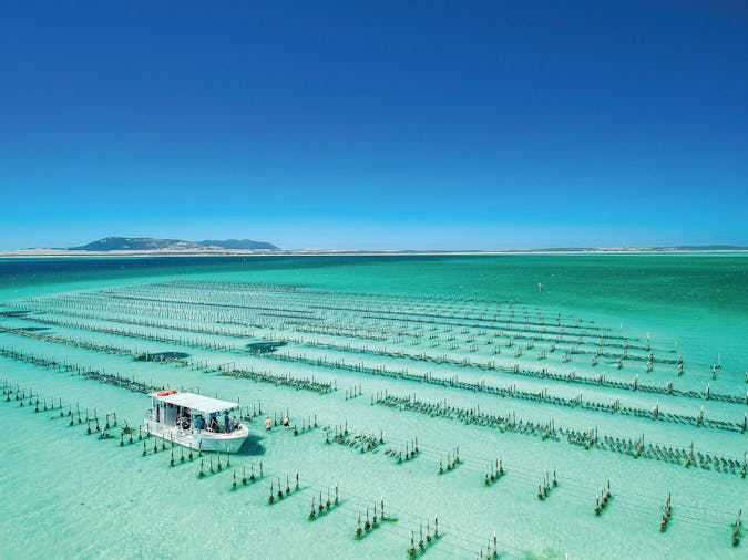 1-Day Port Lincoln & Coffin Bay Private Luxury Tour - Exquisite Eyre