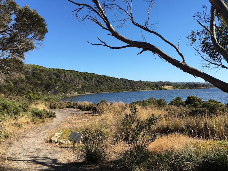 American River • Kangaroo Island, South Australia