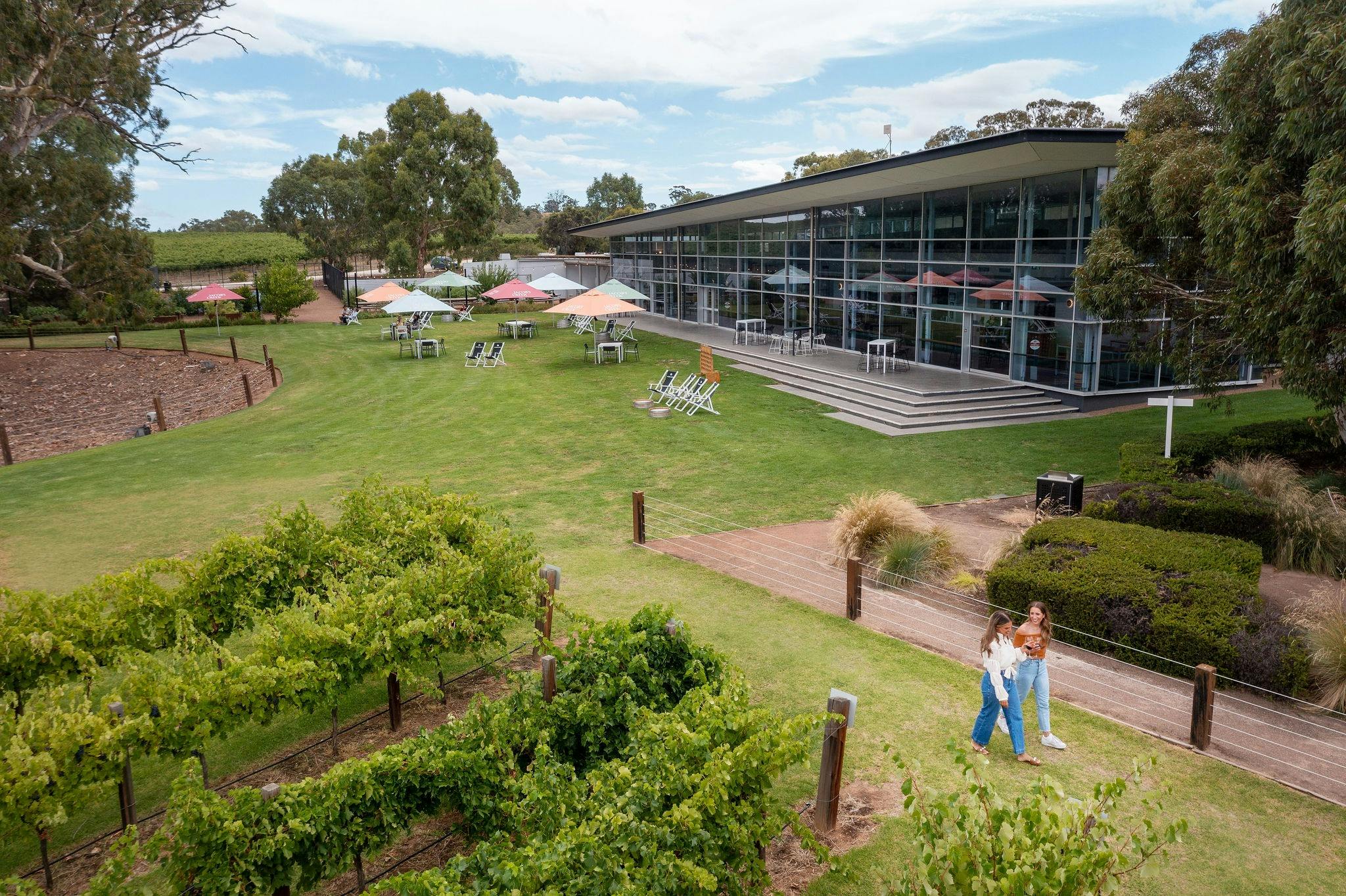 Jacob s Creek Experiences Barossa