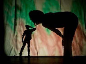 Me And My Shadow