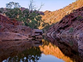 on Arkaroola Creek