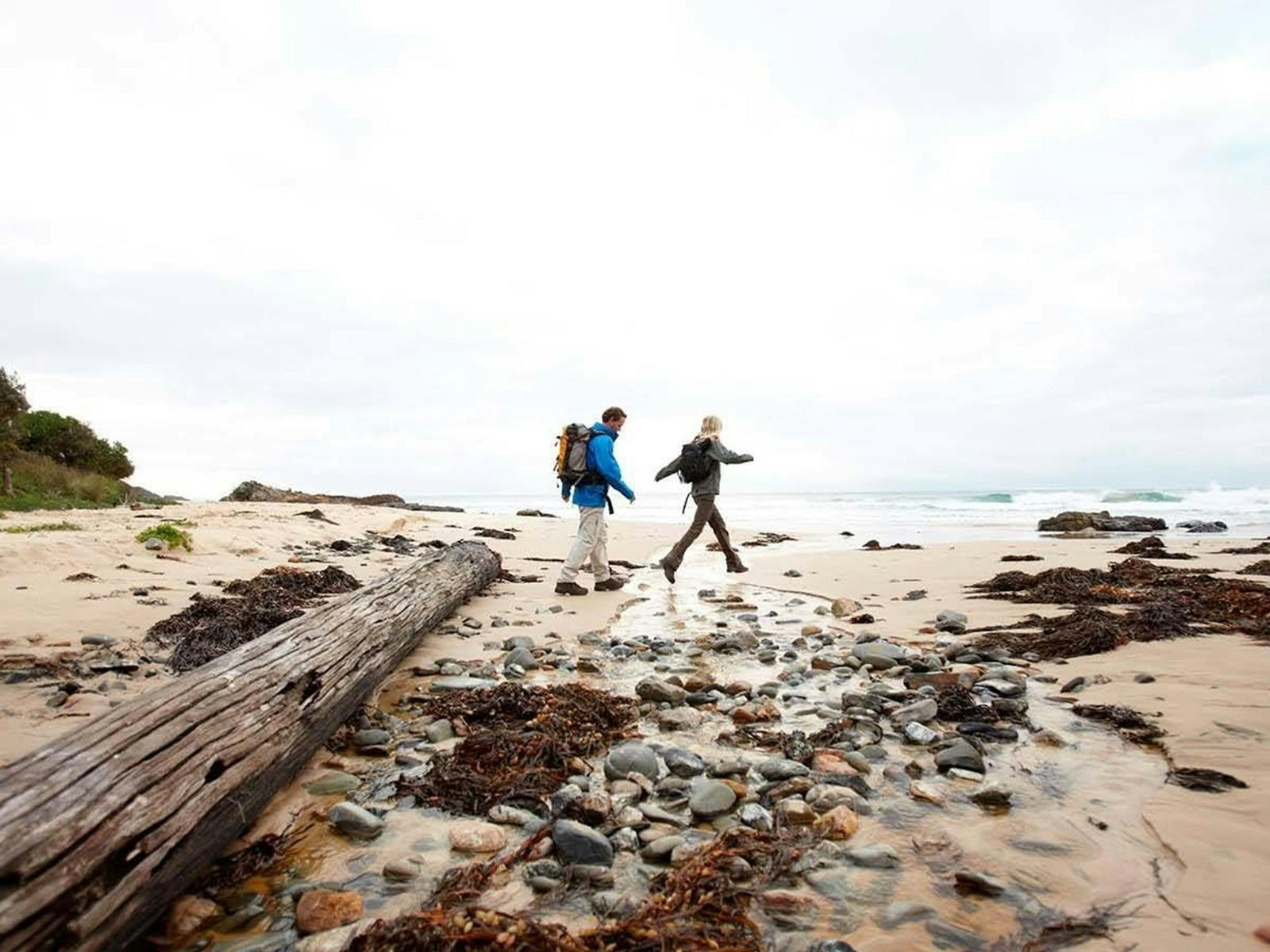 Two people walking across a beach