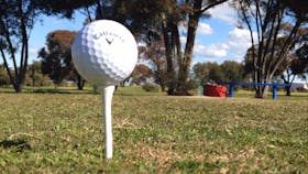 Wallaroo Golf Club
