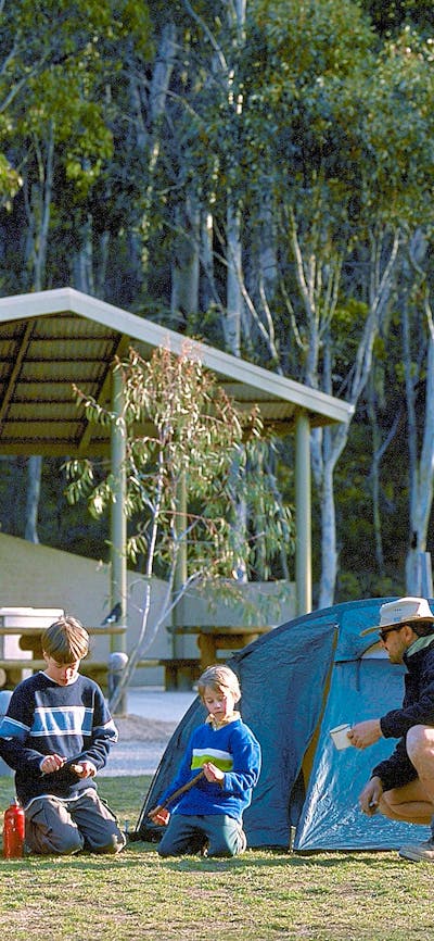 Camping at Honeysuckle Campground