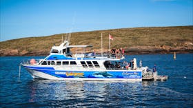 Calypso Star Charters