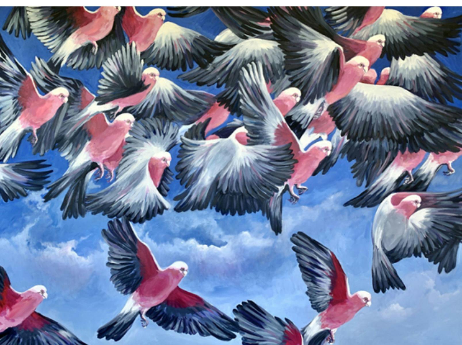 Birds in the Bush Workshop - with Jennie Forster