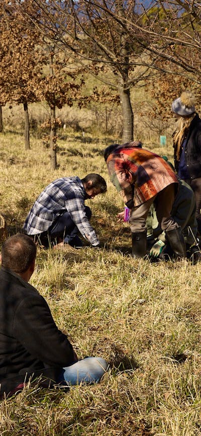 People hunting for truffle