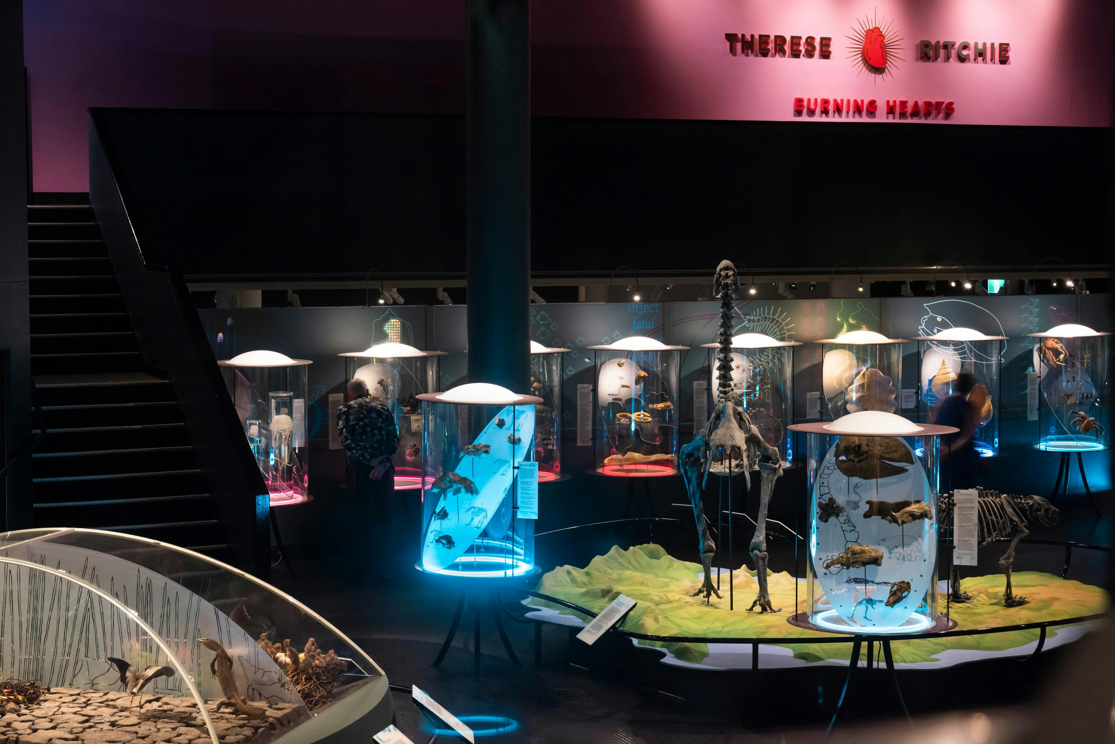 Museum and Art Gallery of the Northern Territory