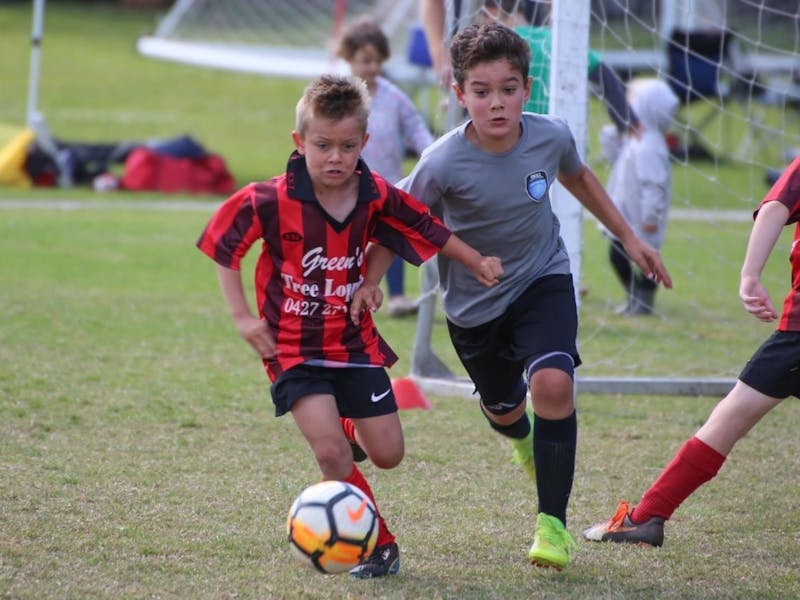 Image for Alstonville Junior Football Carnival