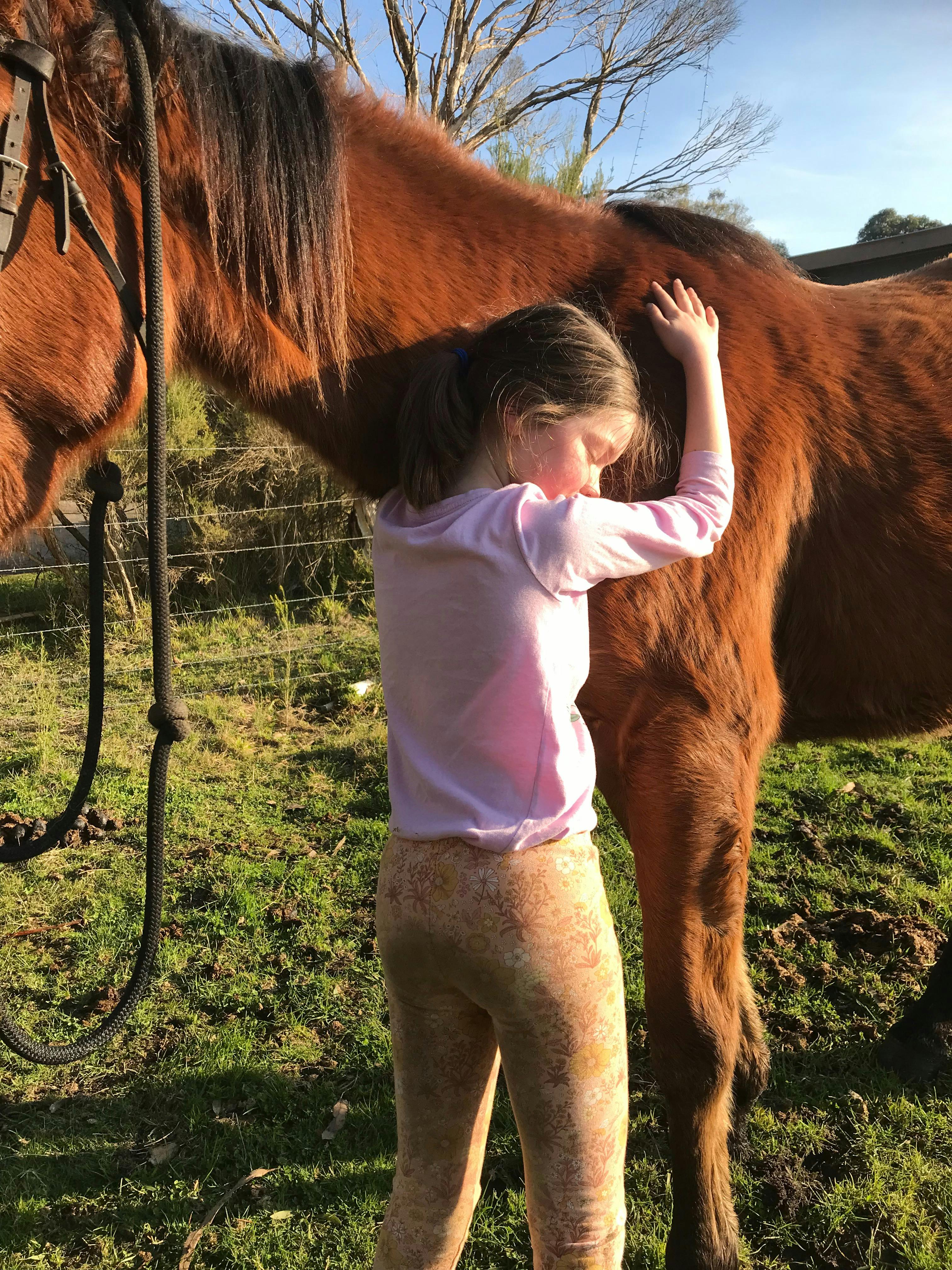 Equine therapy and energy