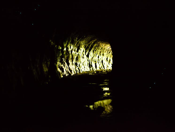 Glow Worm Tunnel Lithgow