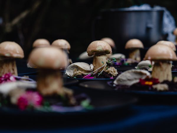 The Tasmanian Mushroom Festival
