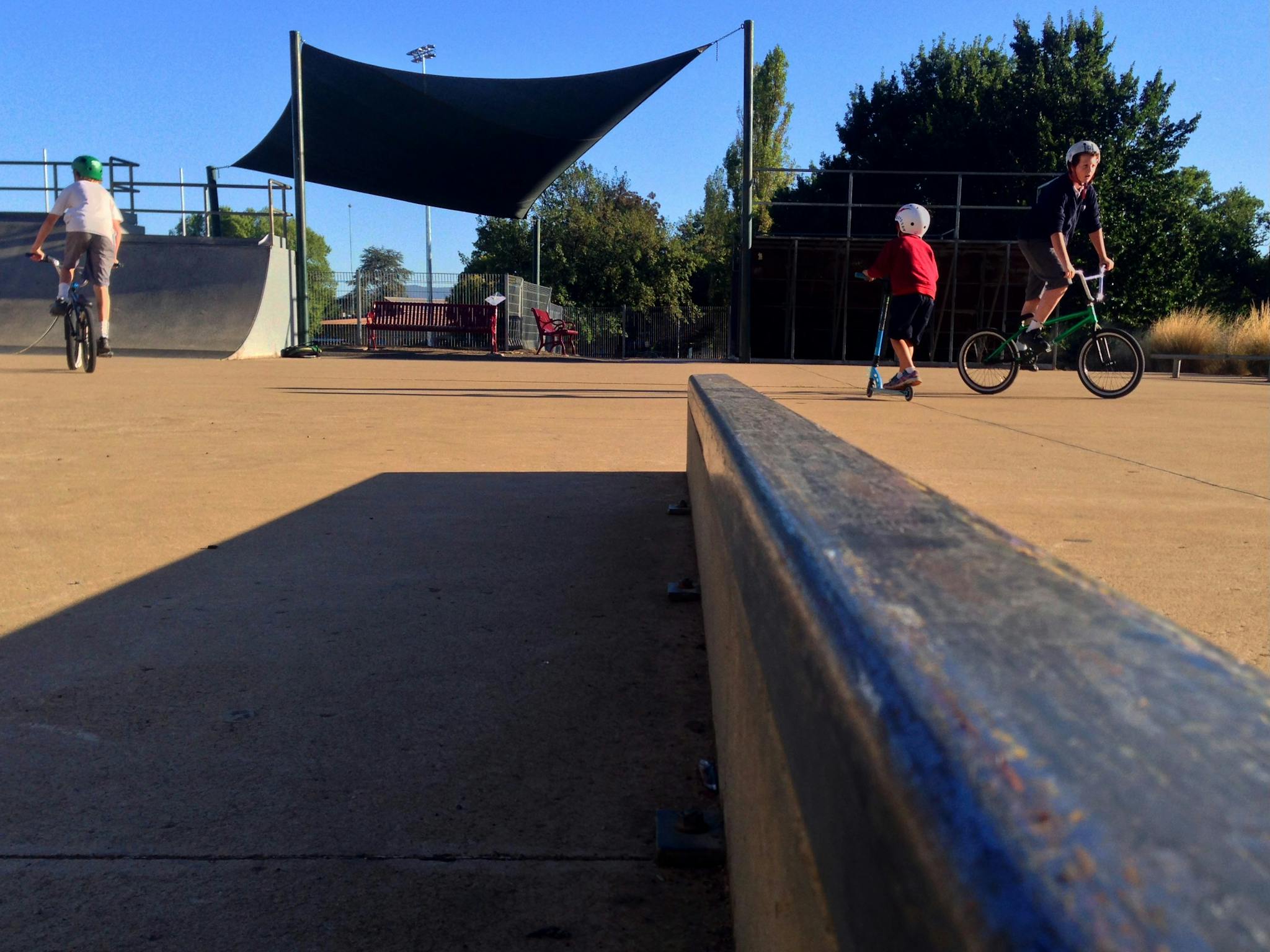 children riding bicycles at the Mansfield Skate Park
