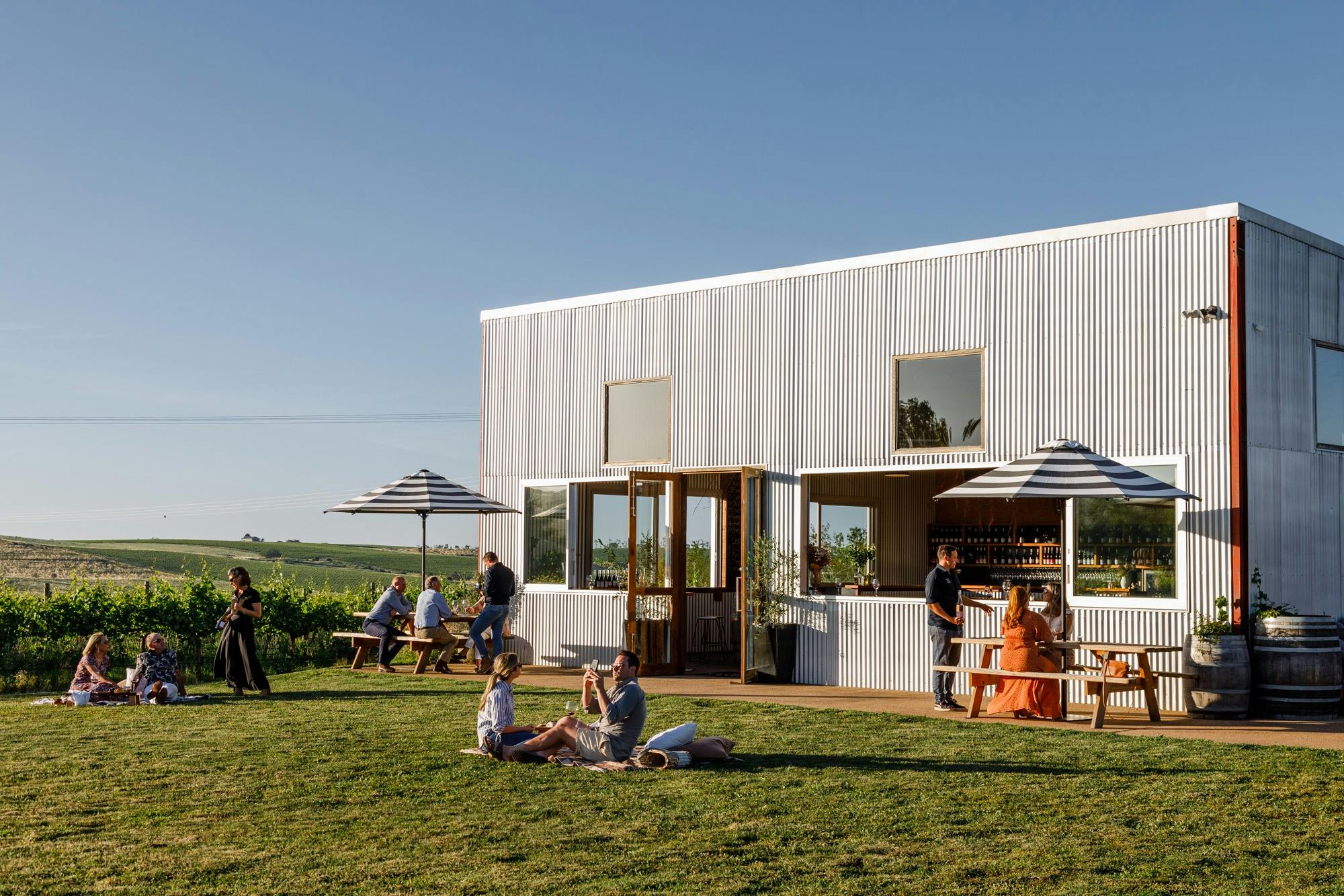 Nashdale Lane Wines Summer