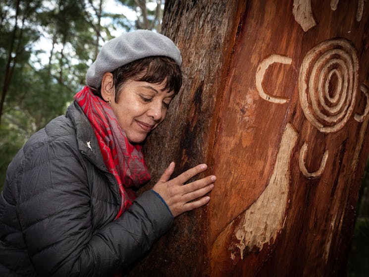 Bulahdelah Mountain Aboriginal Place tree carving