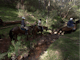 Creek crossings on the horse trail