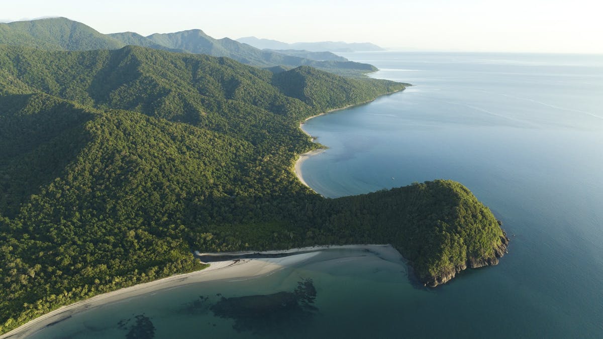 Cape Tribulation