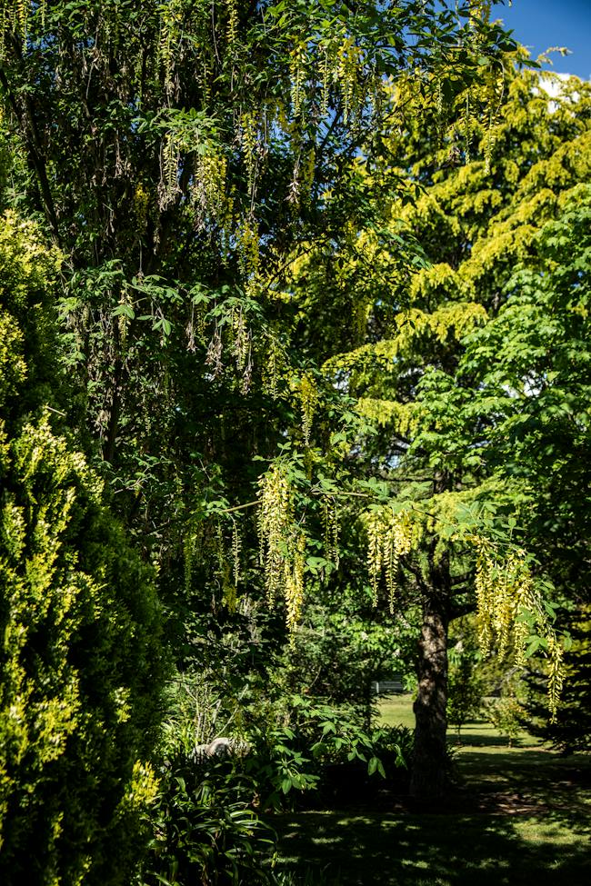 Gardens