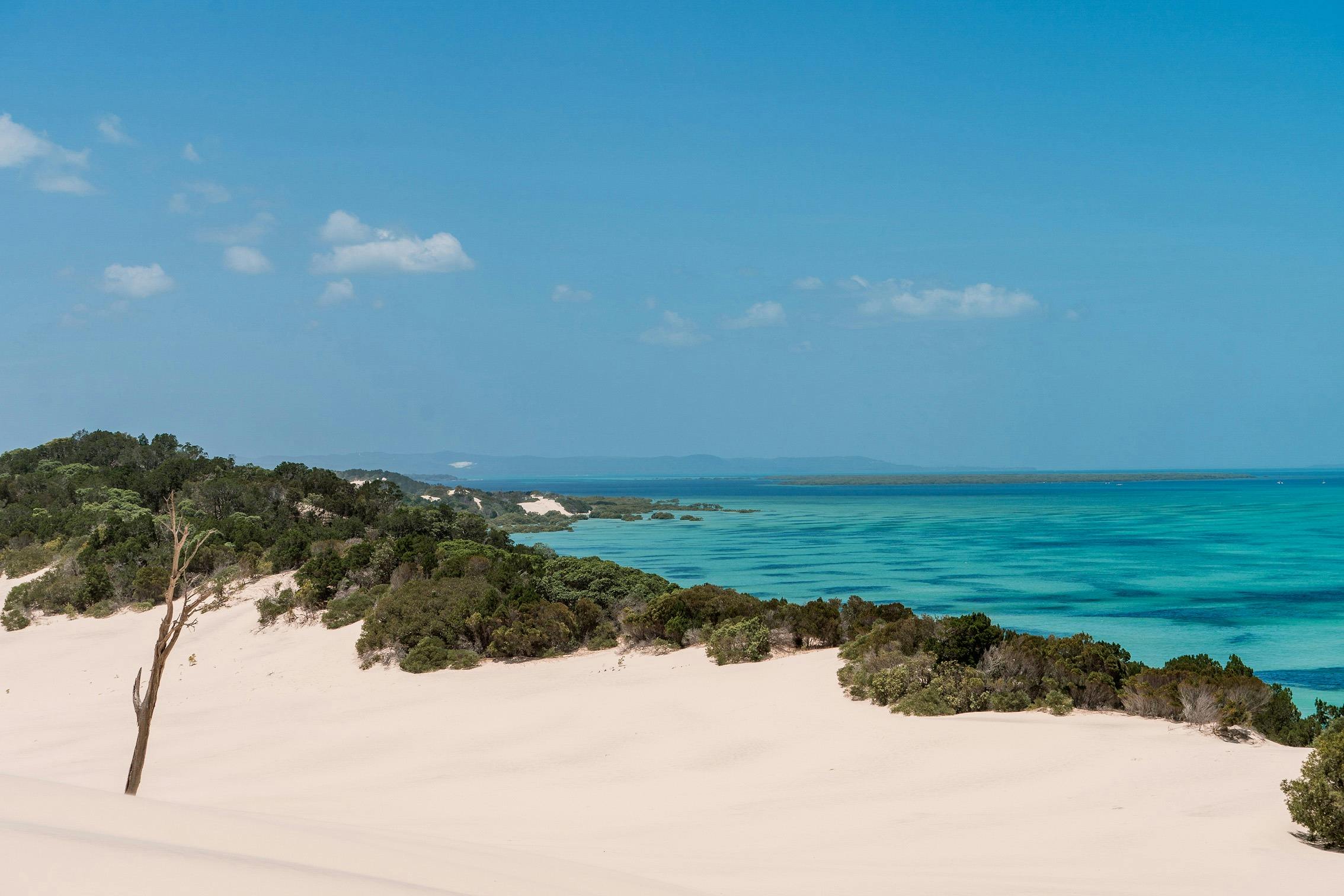 Tangalooma Southern Safari Tour