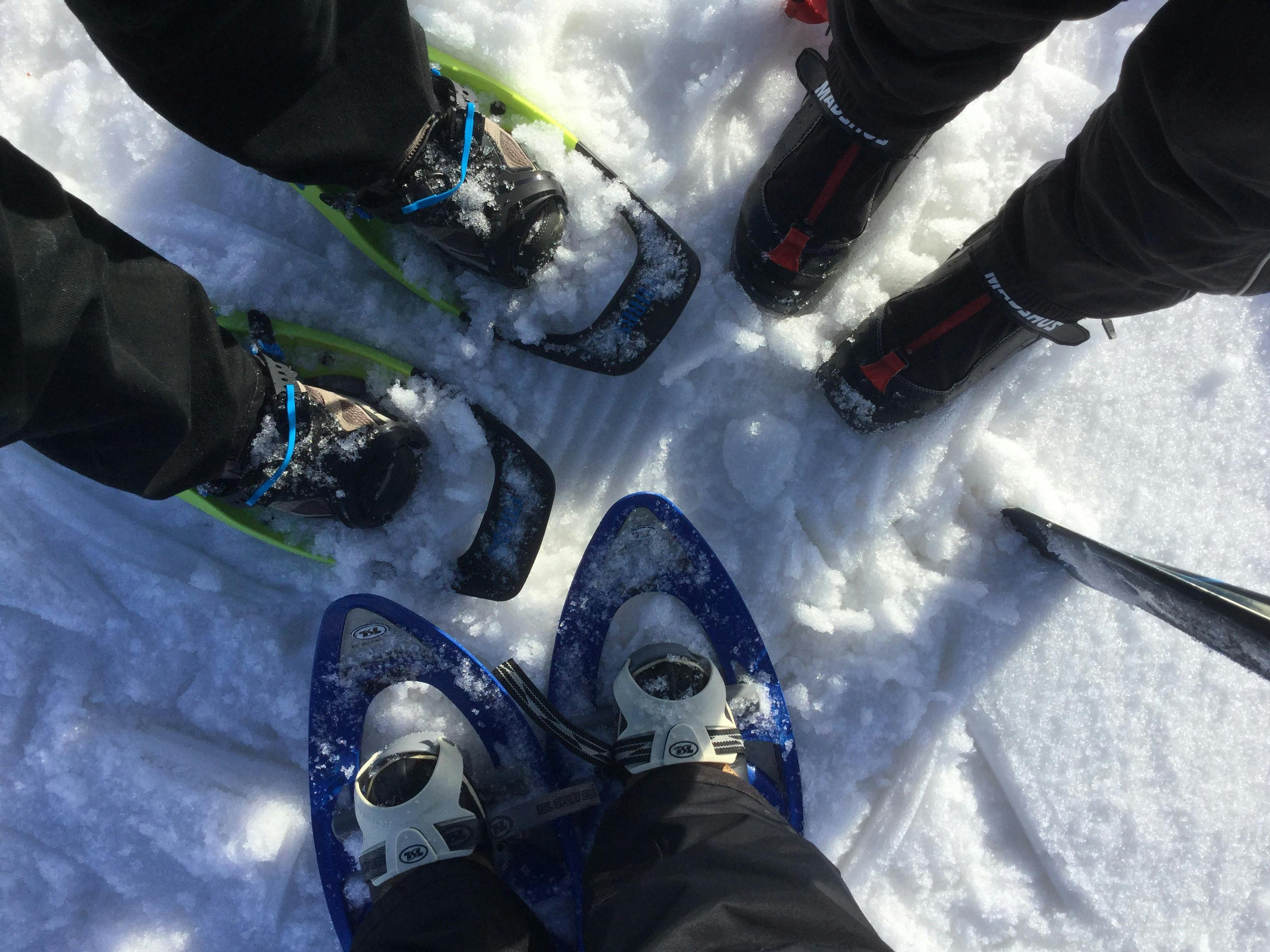 People wearing snow shoes and ski gear