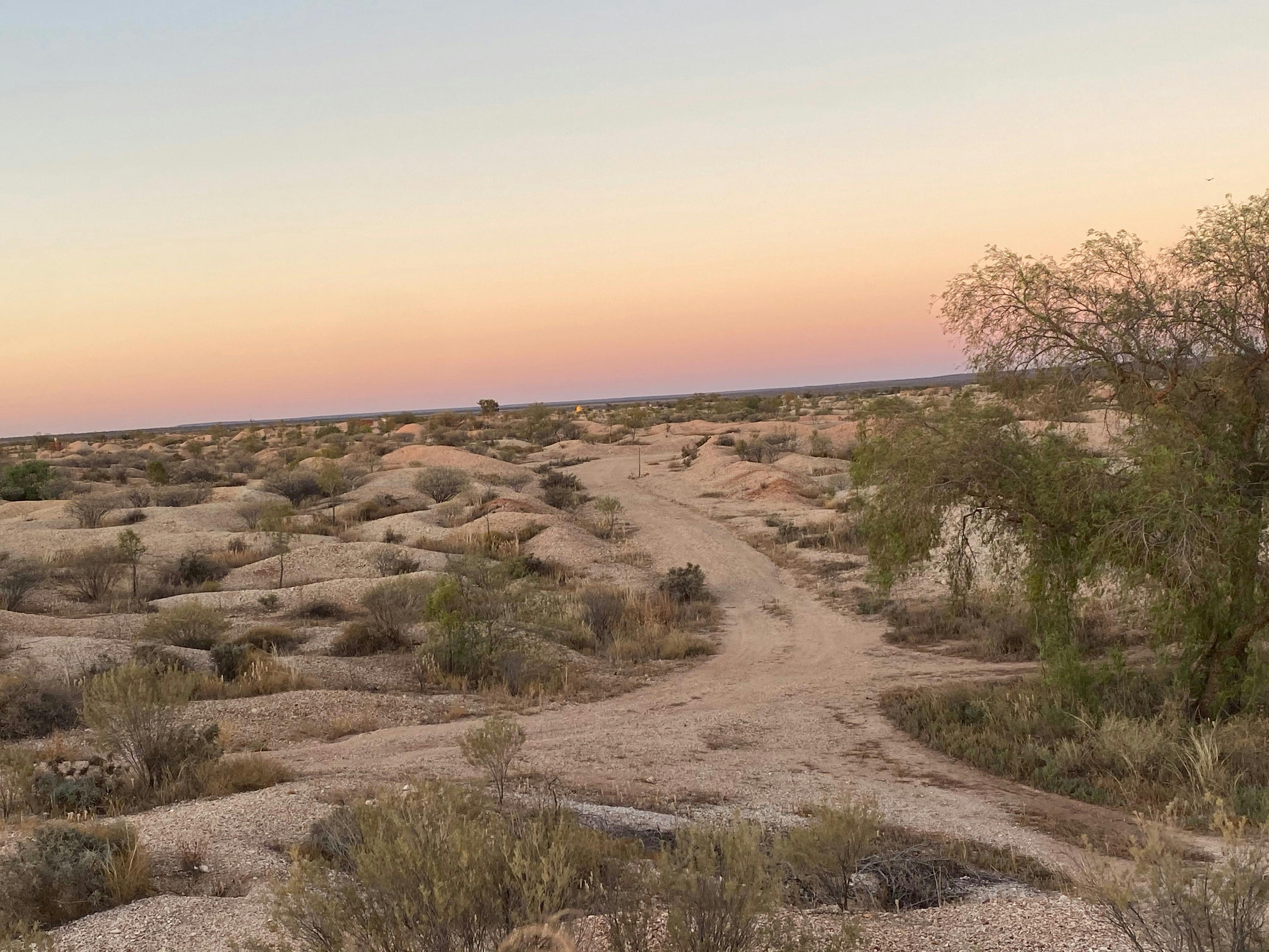 The field can be beautiful with the contrasting colours of white sandstone, agains different colours