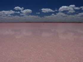 Pink lake, lake bumbunga, reflection