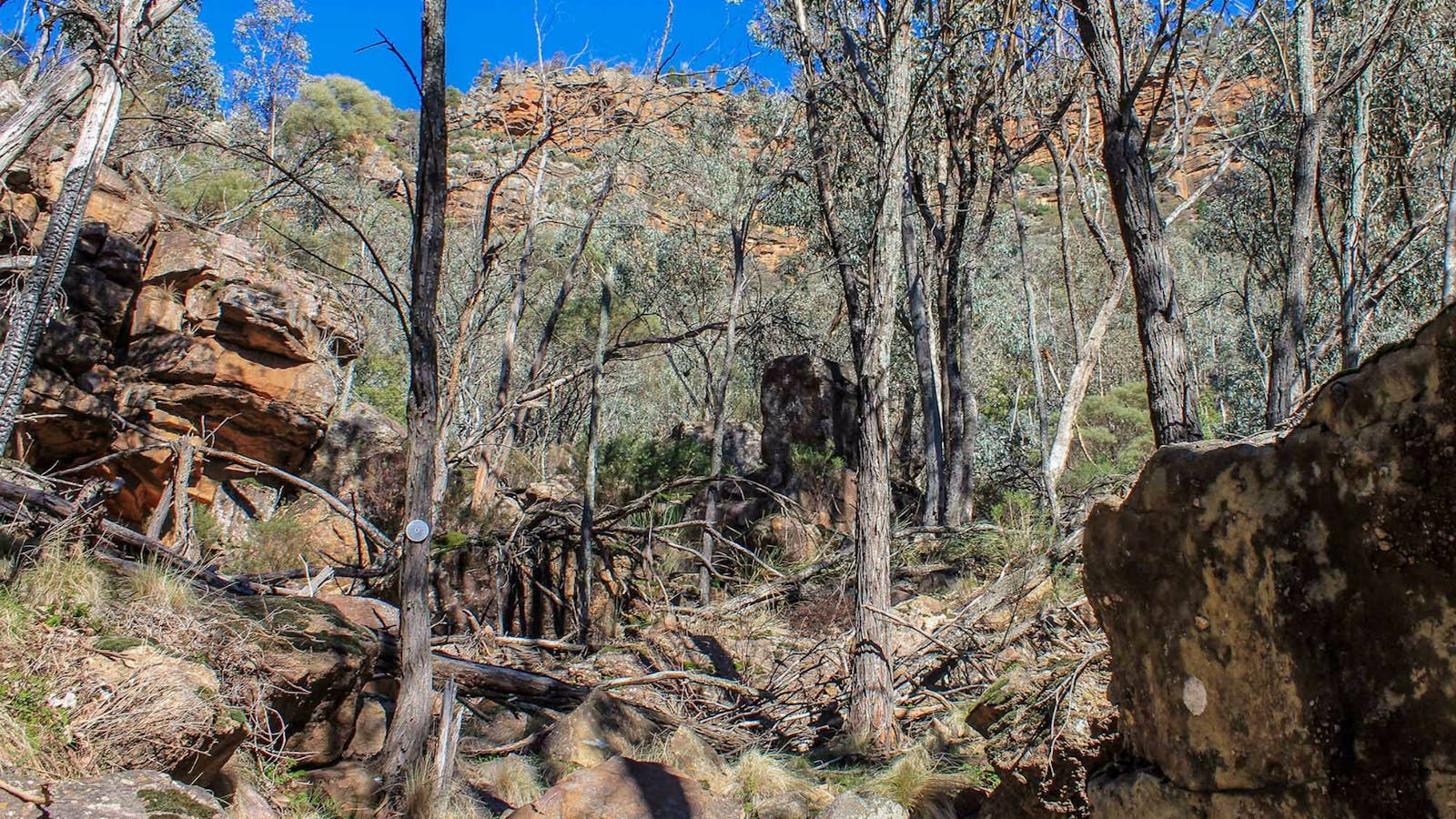 Eualdrie Walking Track