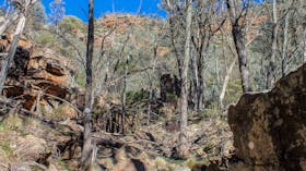 Eualdrie Walking Track