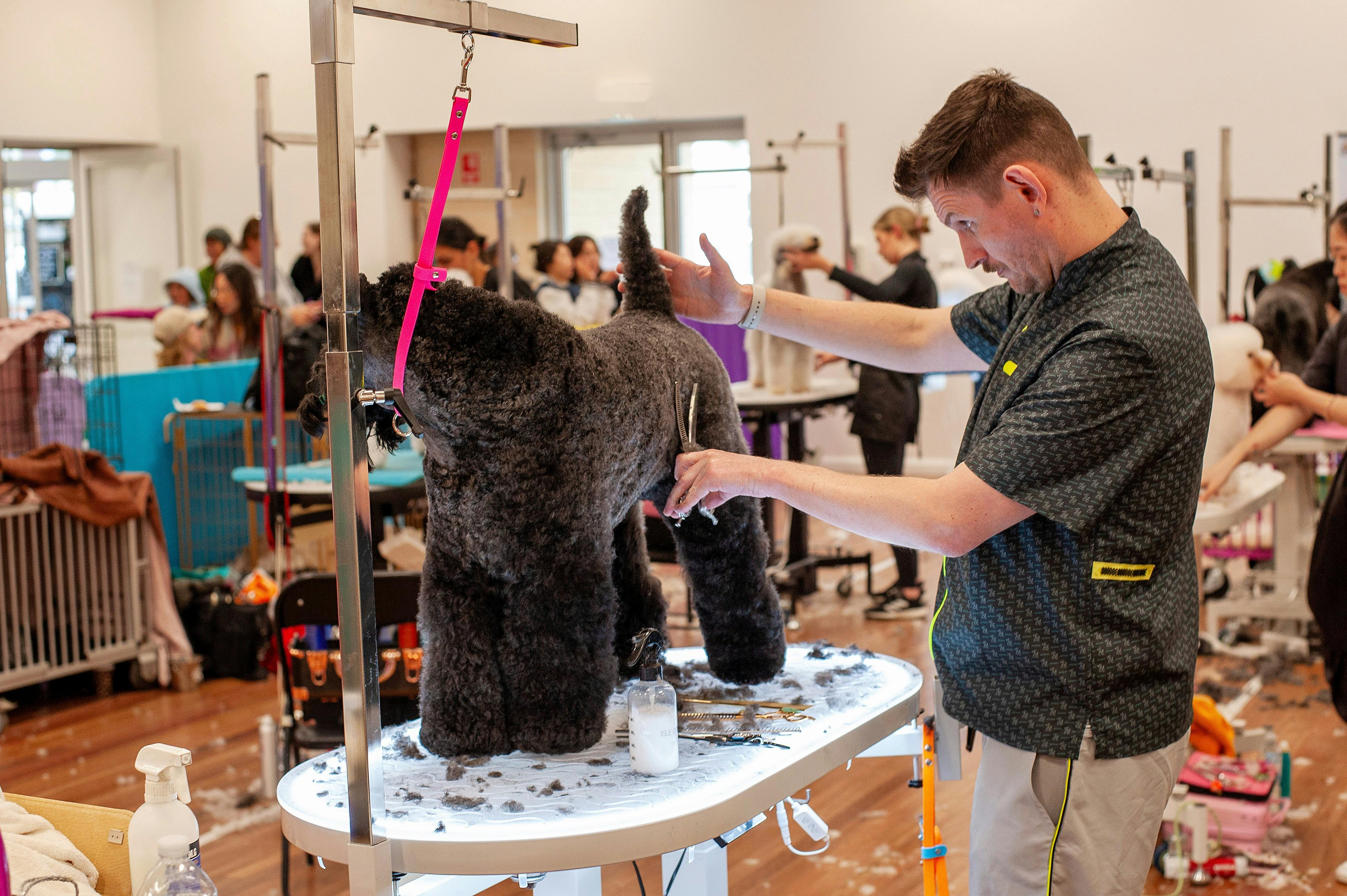 The Pup Cup Dog Grooming Competition