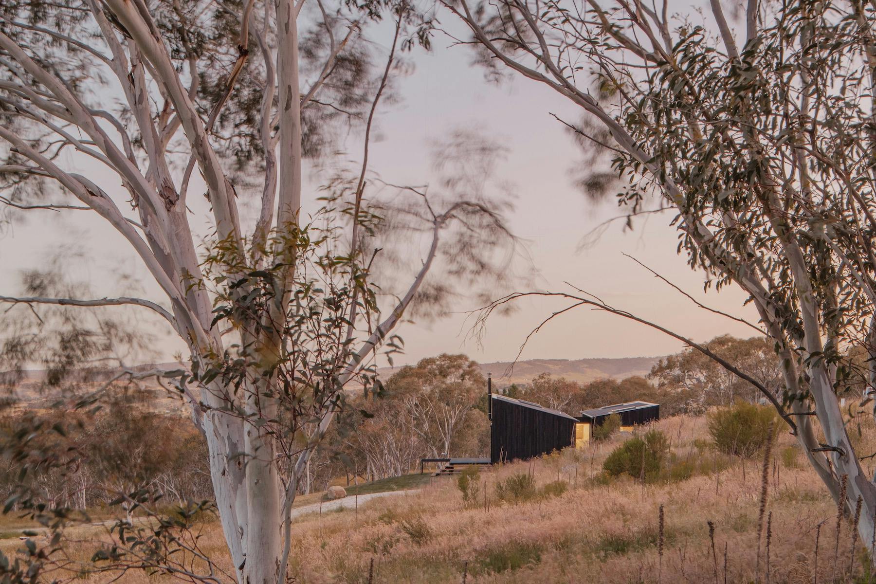 A bespoke cabin surrounded in bush