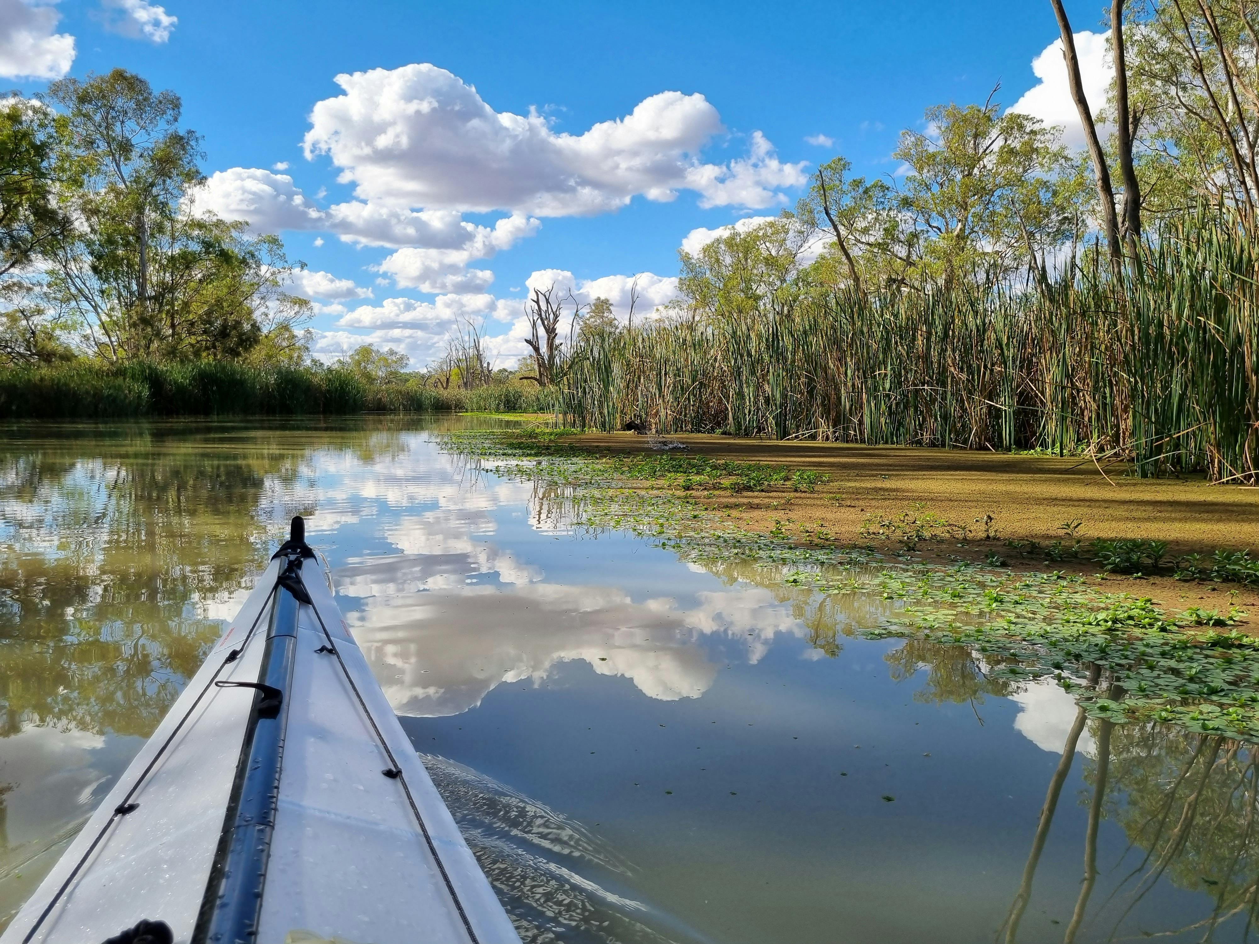 Kayaking Nockburra creek clouds reflecting on calm water