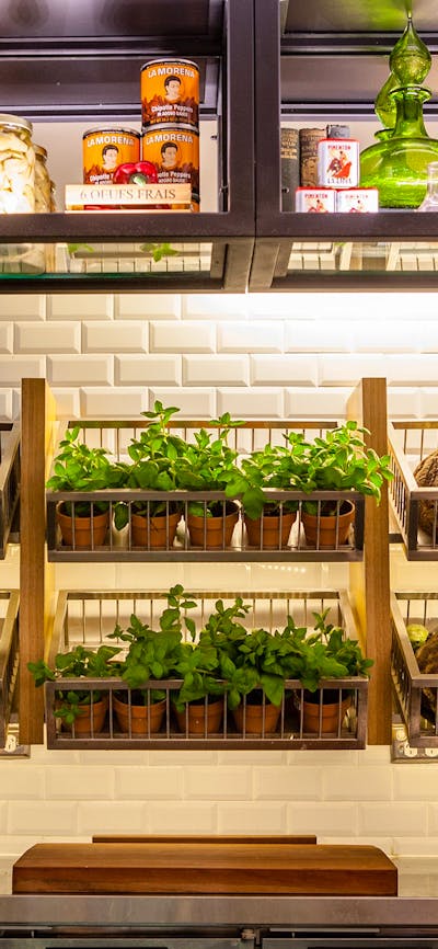 Fresh bread and herbs