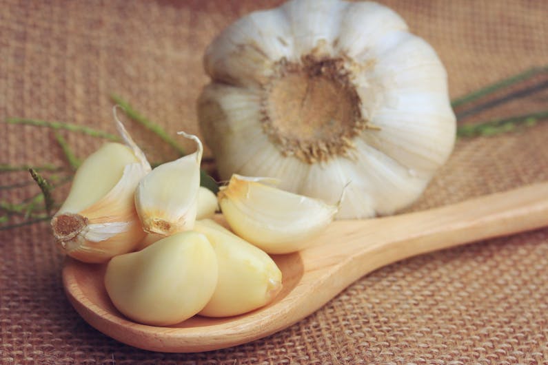 Image of the event 'Braidwood Garlic Harvest Dinner'