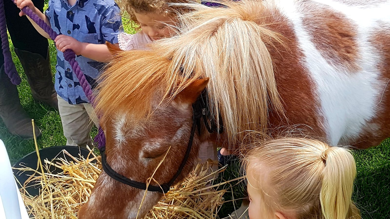 Image for Opening Season Meet & Family Day