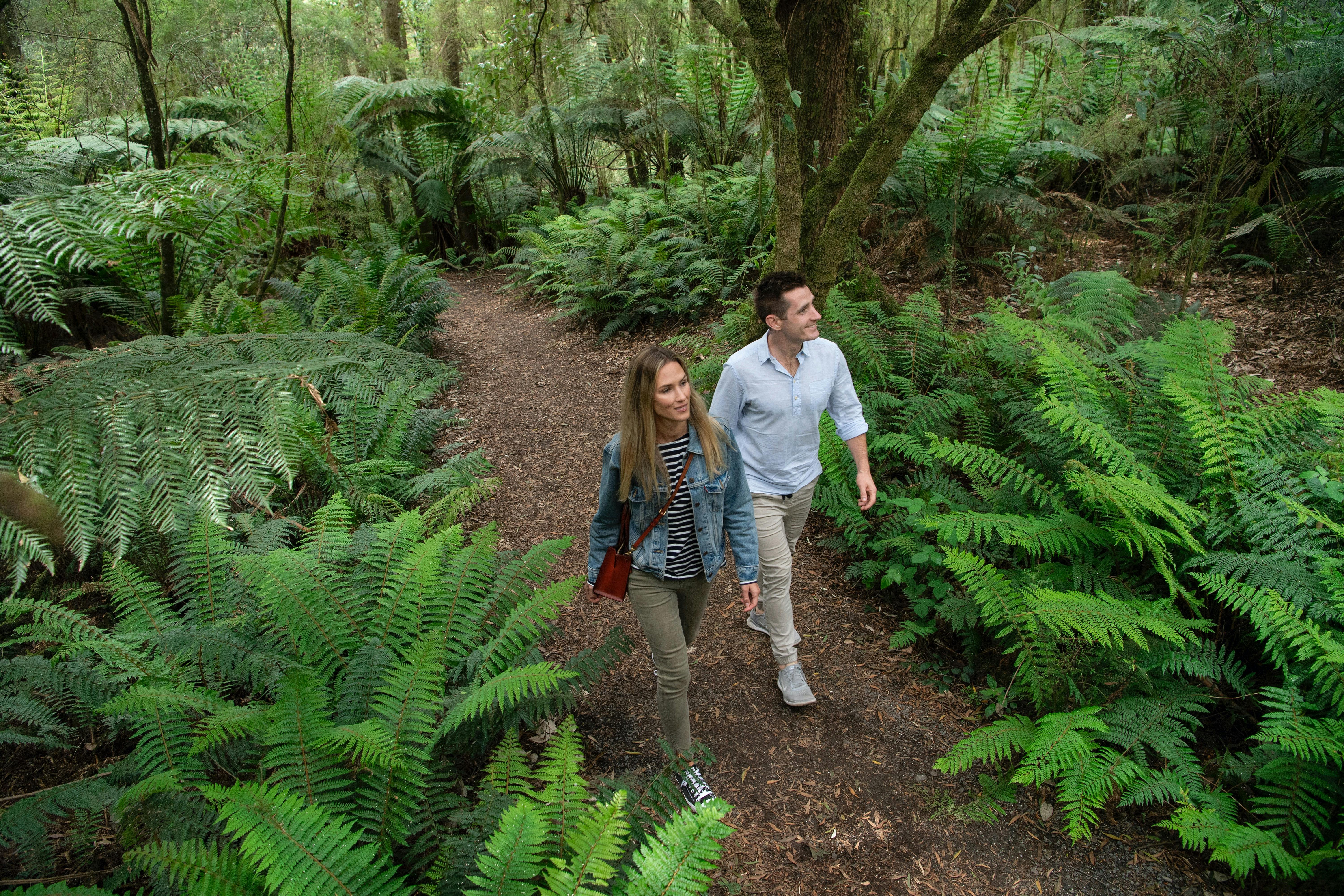 Take the time to discover a Rainforest