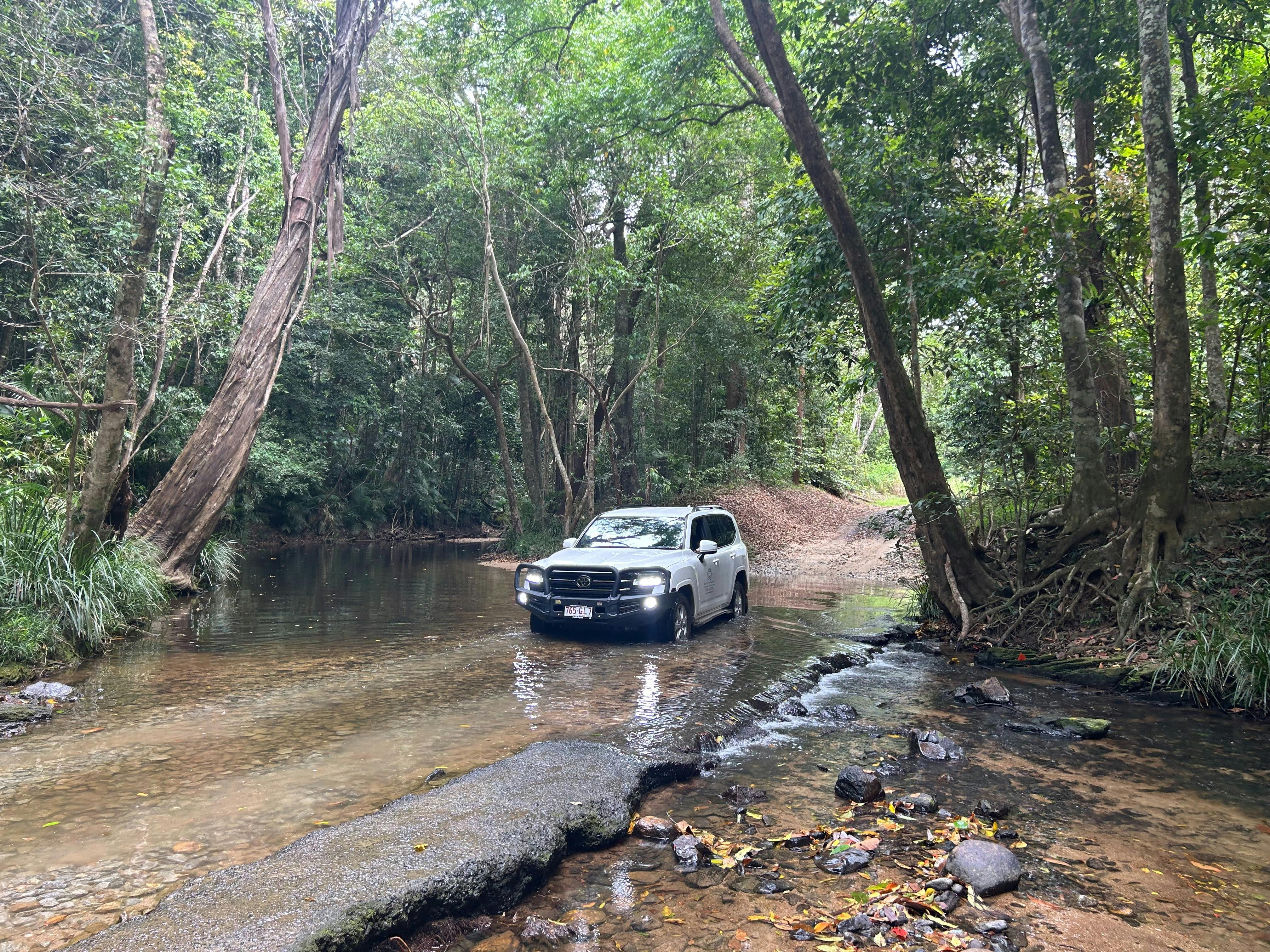 Forest and Waterfalls Half Day 4WD Adventure