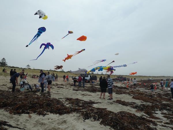 Giant Kites at Beachport