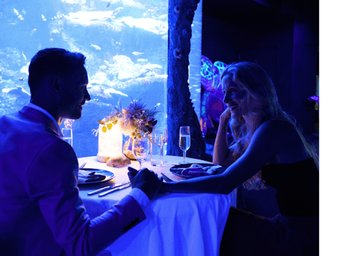 Signature Dining at SEA LIFE Sydney Aquarium