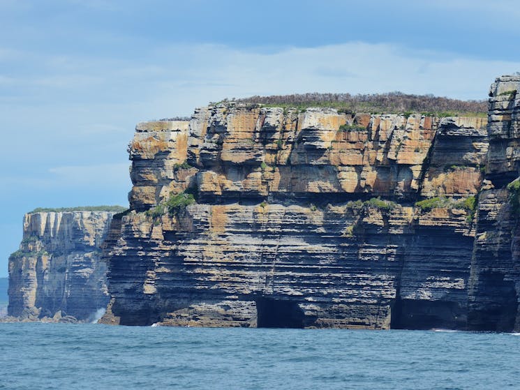 Coastline Beecroft