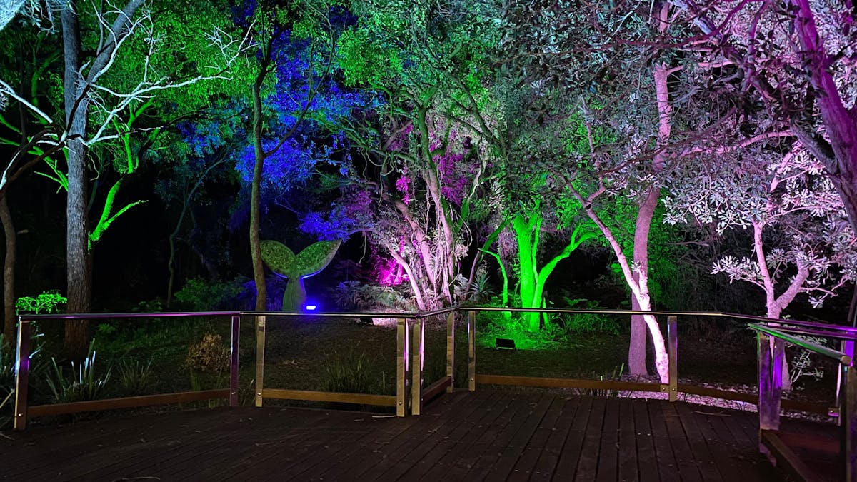 Night lights at the hall