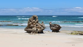 Beachport Conservation Park