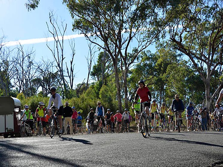 Killarney Bike Ride