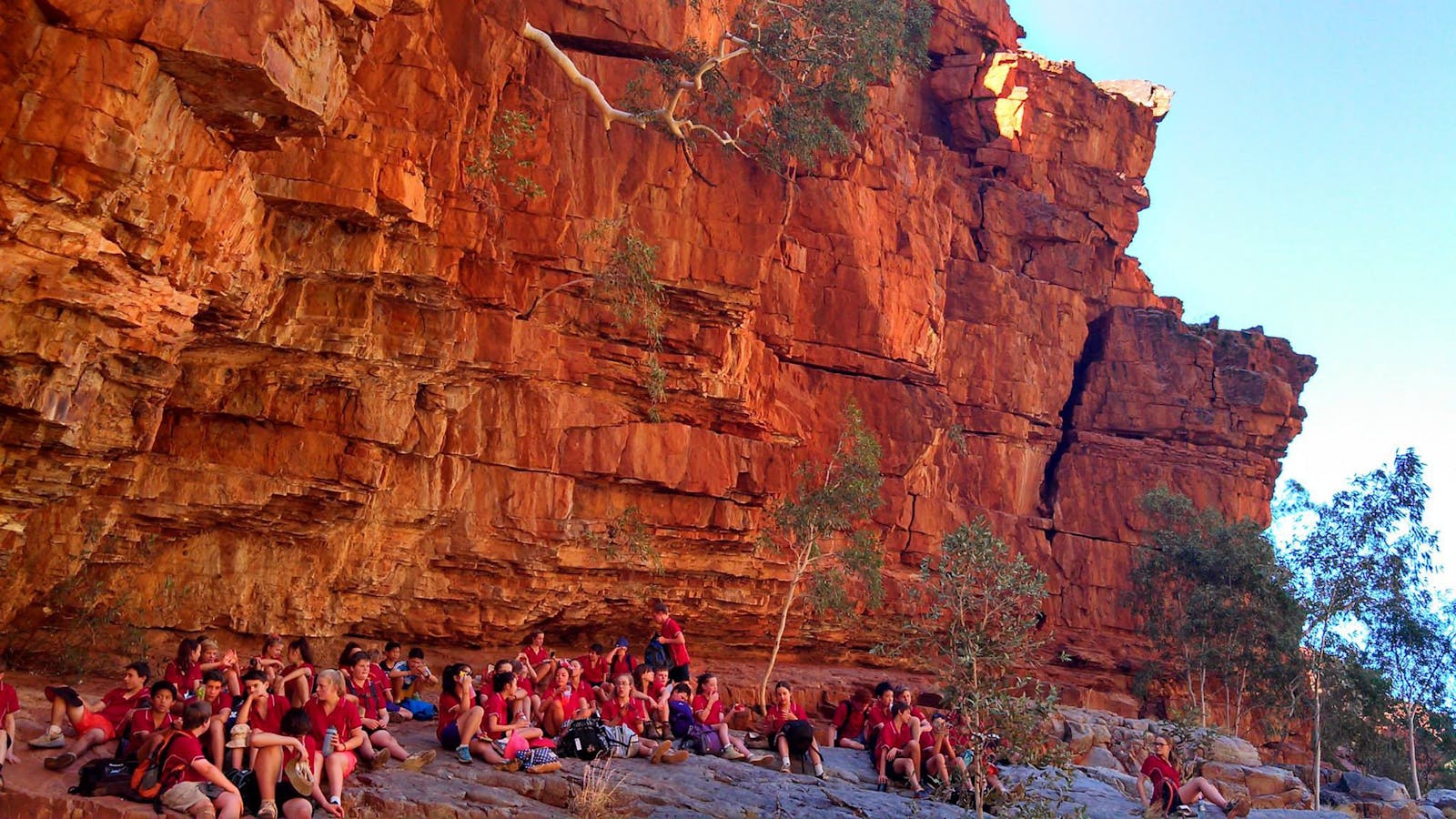 Remote Tours